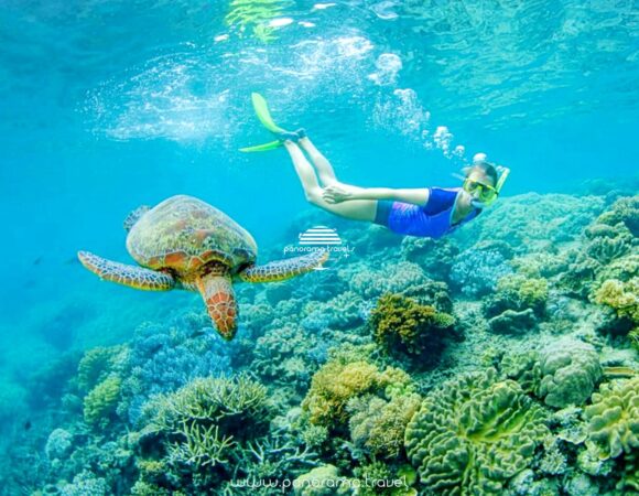 Snorkeling Daymaniyat Islands