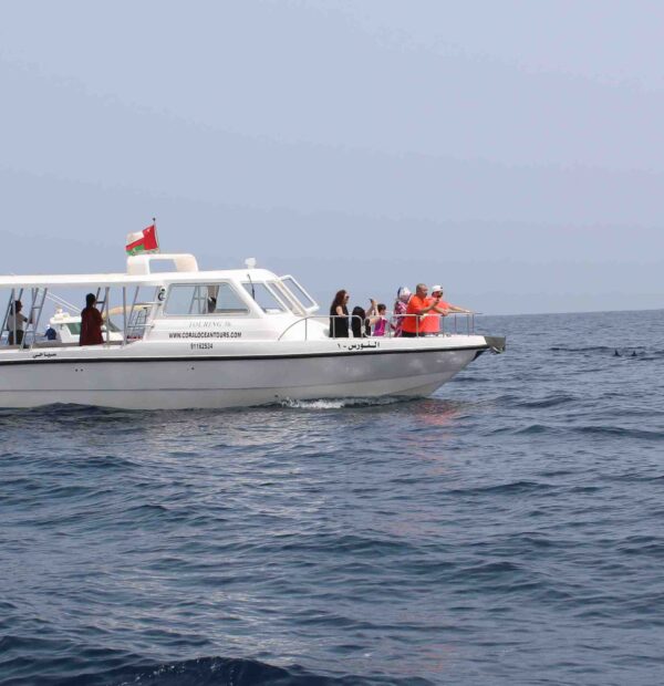 Group Trip Tour Daymaniyat Island